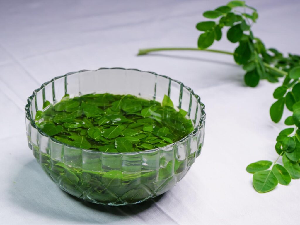 Sayur Kelor Khas Lombok